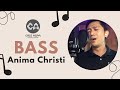 Anima christi  bass tutorial by cris aspa  aspanation