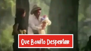 Versión 3 del video