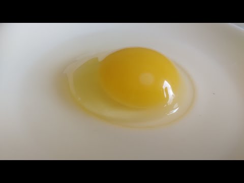 Знаете сколько курица, оставшись без петуха, несёт оплодные яйца? Я нет. А вы откуда знаете?