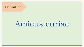 Legal term, definition, Amicus curiae