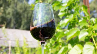 Сколько сахара должно быть в винограде и сусле при приготовлении вина