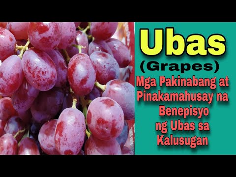 Video: Ang pinakamahusay na mga buto ng pipino: mga review ng tagagawa