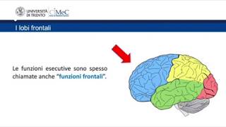 CeRiN AllenaMente | Executive Function Exercises