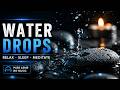 Peaceful Water Droplets: 4 Hours of Pure Relaxation