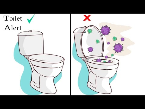 Toilet Alert: Why you MUST put the lid down while flushing
