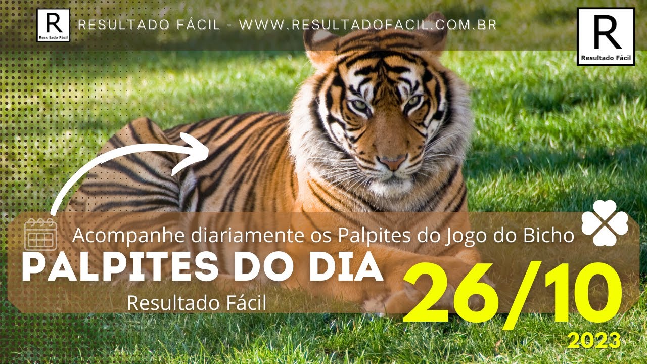 Palpites Ganhar fácil 05 de Dezembro 2023 jogo do bicho hoje: Rio Look  Lotep Lotece Nacional 