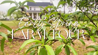 Spring Homestead Tour | Growing Groceries for our Family of 10