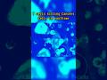 T cells kill cancer cells #oncology #oncologyawareness #tcells #tcell #cancer #apoptosis #usshorts