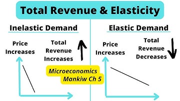 Relationship between total revenue and elasticity | Microeconomics Mankiw Ch 5 Part 3