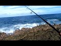 Catch and cook  trevallies in the pan fishing mauritius