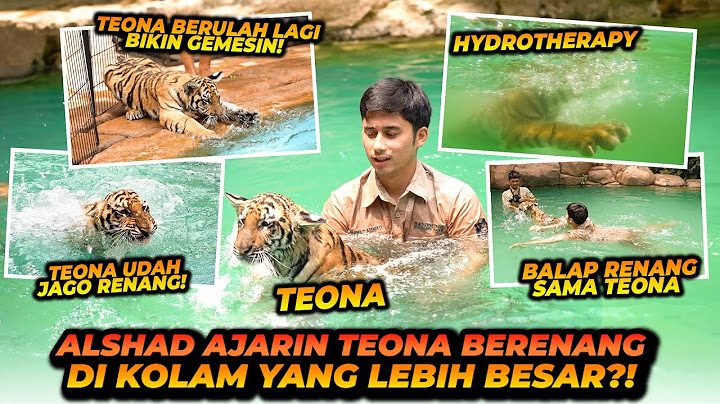TEONA RENANG DI KOLAM BESAR ?! MALAH KABUR PAS MAU NYEMPLUNG KE KOLAM !
