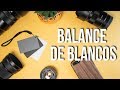 Como configurar el Balance de Blancos - Tarjeta de grises