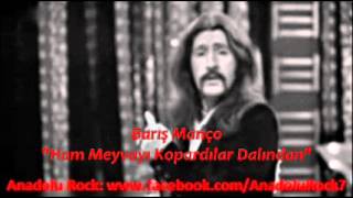 Barış Manço - Ham Meyvayı Kopardılar Dalından Resimi