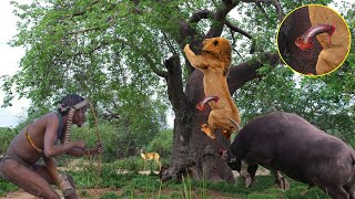 How Strong Is The Maasai Tribe Warrior Against The Lion King In The Wild ? by Wild Animals 24,824 views 11 months ago 10 minutes, 53 seconds