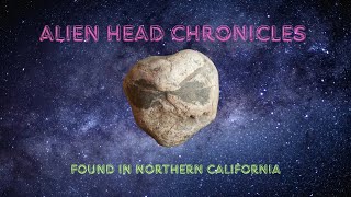 Alien Head Chronicles