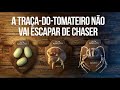 Extermine todas as fases da traça-do-tomateiro com CHASER | IHARA
