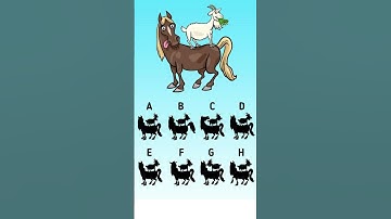 🎉 Spot the Shadow Challenge! 🐴🐐 | Fun Puzzle & Riddle Time | Curious Journeyss