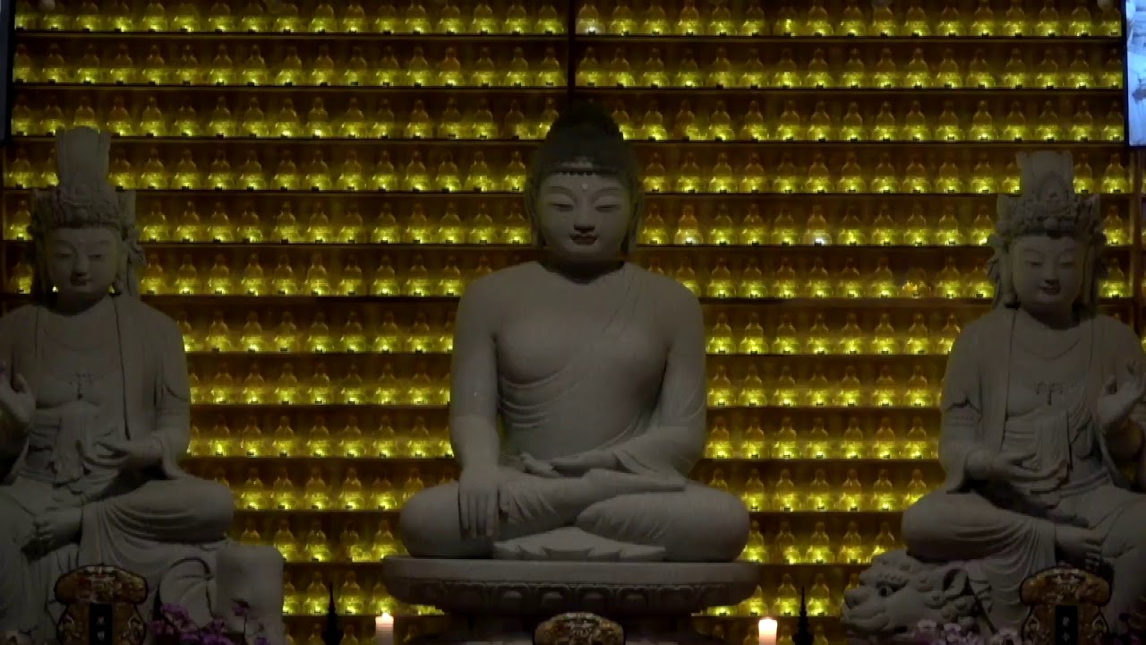 불기2564년 8월 17일 안심정사 논산본찰 무동참금 21일 기도