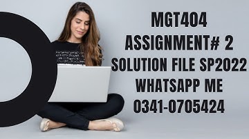 MGT404 assignment 2 sp2022 mgt404