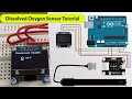 Analog Dissolved Oxygen Sensor Tutorial | DIY Arduino D.O. Meter