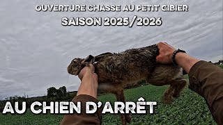 Ouverture Petit Gibier Saison 20252026 Micky En Action