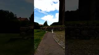 20240629 Måsar, Helsingborg
