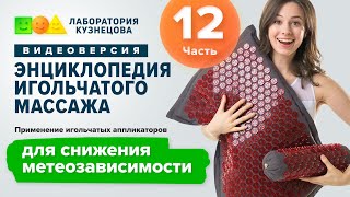 Применение игольчатых аппликаторов для снижения метеозависимости