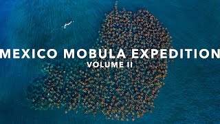 Mexico Mobula Expedition: Volume II