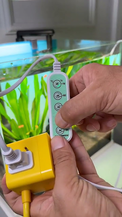 Favorite Small Filter for Aquarium design #trending #aquarium #fishaquarium #fishtanksetup #fish diy