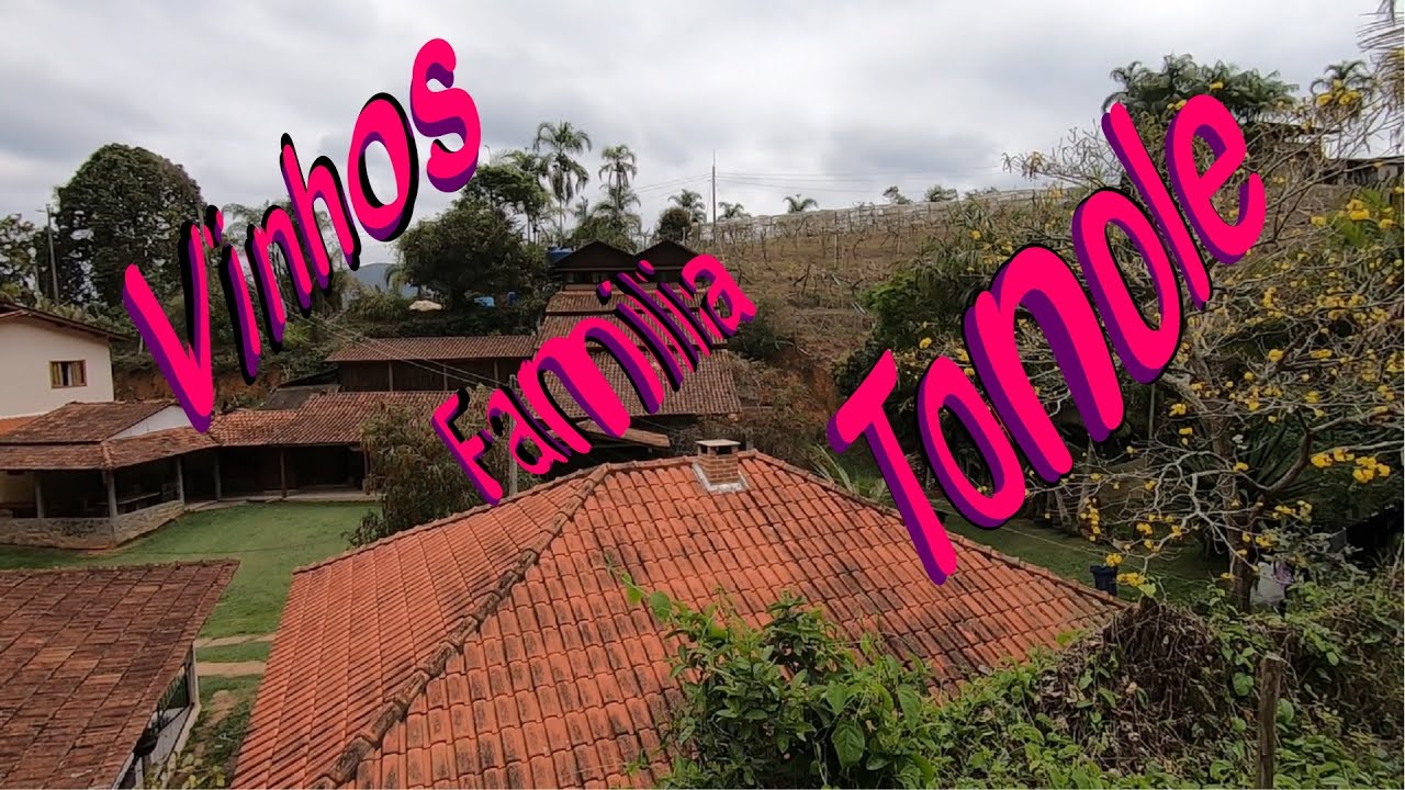 VINHOS  FAMÍLIA TONOLE, Venda Nova do Imigrante, ES - Série Andando por Aí, Ep. 56º - #viajando #tur