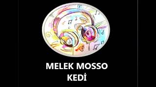 MELEK MOSSO - KEDİ Resimi