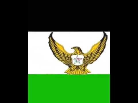 ابطال الصحوه