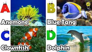 ABC phonics animals | English and Animals for Kids #angelfishs