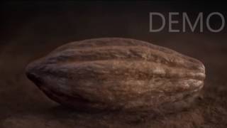 Chocolate Show Reel
