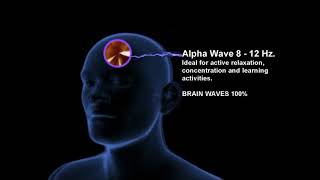 BRAIN WAVES 100%   Alpha Wave 8 Hz   12 hz   Concentration   Relaxation