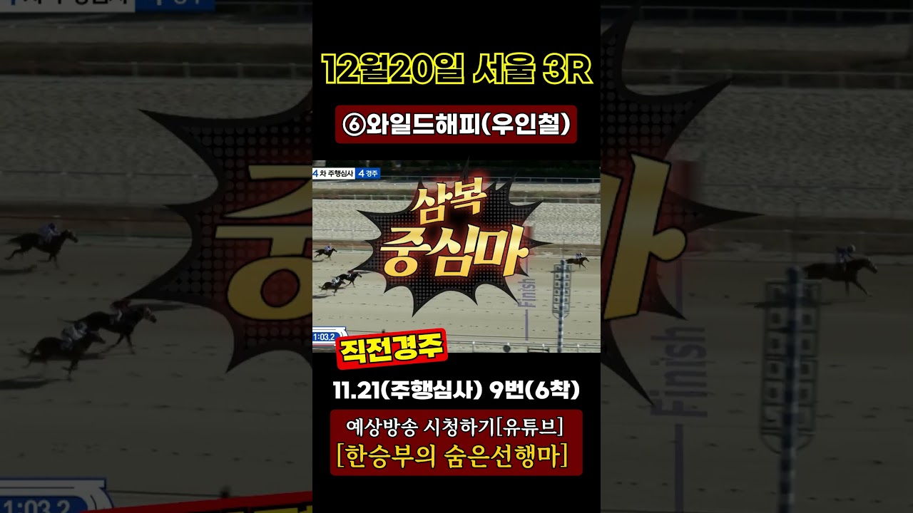 2025년12월20일[토요경마] 삼복중심은?#shorts#경마#한승부경마