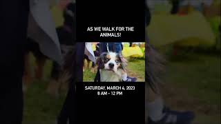 Who’s ready to Walk?? 😄🎉 It's the VCA Walk for the Animals! #shorts #dogs #animals