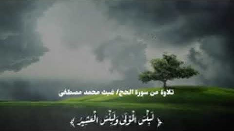 تلاوة خاشعة مؤثرة ، للقارئ|غيث محمد مصطفى|.