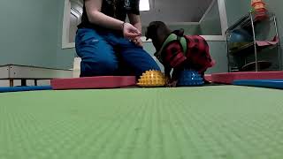 1-13-25 Andy Stimulating Paw Pads