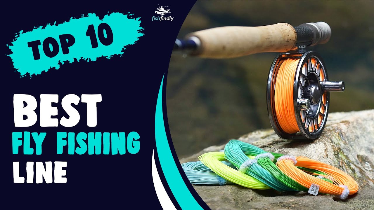 Best Fly Fishing Line in 2021 Make Your Fishing Beneficial! YouTube