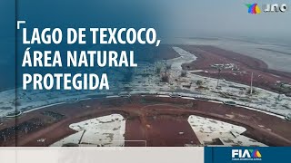 Lago de Texcoco, hogar de 276 especies de aves, será declarada área natural protegida