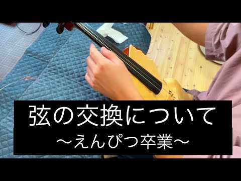 ヴィオラ、ヴァイオリン 弦を張り替える。交換について - YouTube