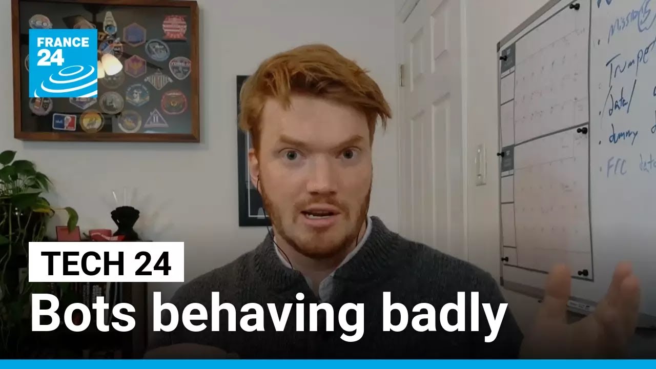 First victim of AI agent harassment warns 'thousands' more could be next • FRANCE 24 English