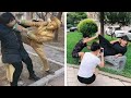 Street Troll - Must Watch New Funny😂 😂 Part 31 - Can't stop laughing【Laugh torn mouth】