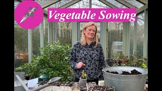 VEGETABLE SOWING - Be Sure of Satisfaction with Seed Sowing!