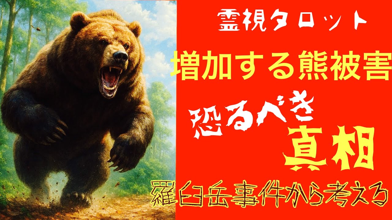 「増え続ける熊被害のスピリチュアル的な意味・羅臼岳事件から考える人間と自然の関係」