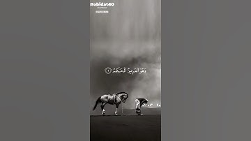 #تلاوة_خاشعة #القرآن_الكريم #تابعنا_فضلاً_وليس_أمرًا #اكسبلور #المصحف