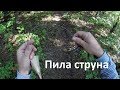 Походная гибкая пила - струна, тест