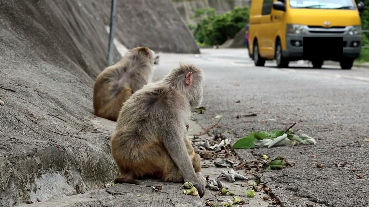 One after another, there's no peace here