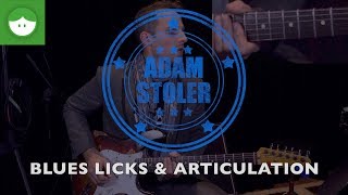 Video thumbnail of "Two Blues Licks & Articulation Tips from Adam Stoler's Workshop"